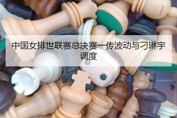 中国女排世联赛总决赛一传波动与刁琳宇调度