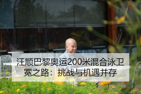 wang-shun-ba-li-ao-yun-mi-hun-he-yong-wei-mian-zhi-lu-tiao-zhan-yu-ji-yu-bing-cun-2-395.jpg
